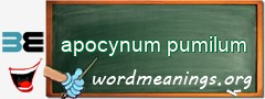 WordMeaning blackboard for apocynum pumilum